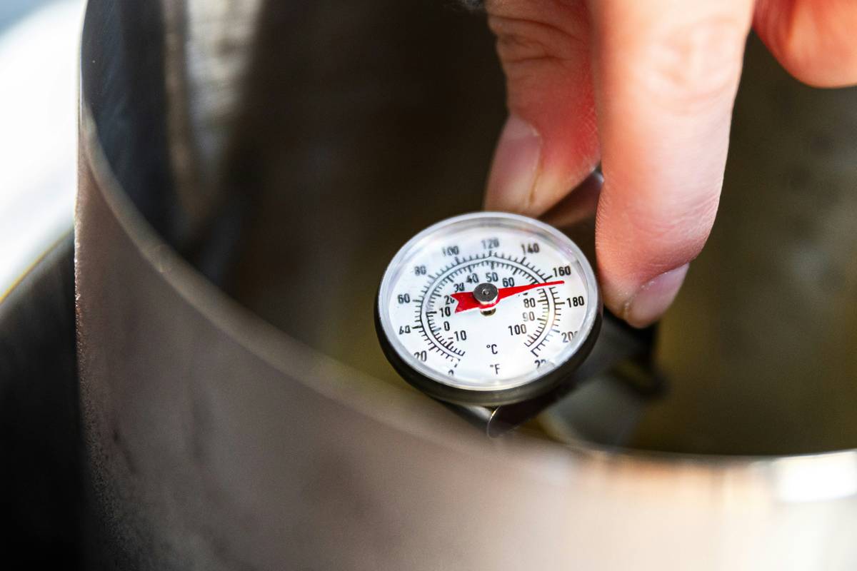 Digital Analog Oven Thermometer How To: 7 Proven Tips to Avoid Costly Mistakes